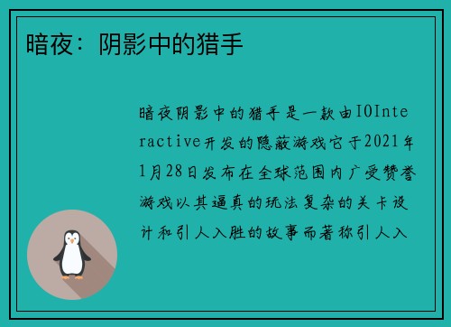 暗夜:阴影中的猎手 暗夜:阴影中的猎手